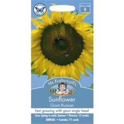 Photo of Seed Sunflower Single Giant B packet