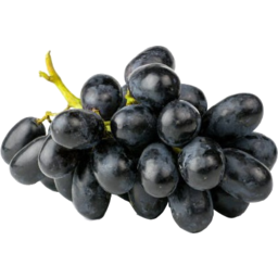 Photo of Black Grapes