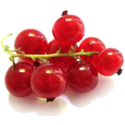 Photo of Grapes Red Currant Kg