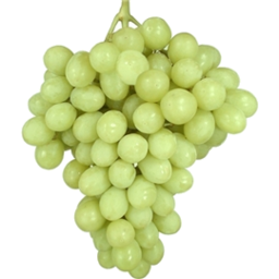 Photo of Grapes White Seedless 