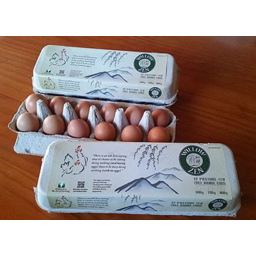 Photo of Willow Zen Free Range Eggs Dozen
