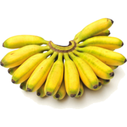 Photo of Bananas Ladyfinger