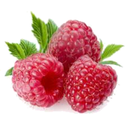 Photo of Raspberries