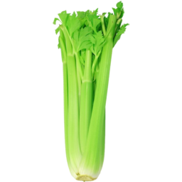 Photo of Org Celery Bunch