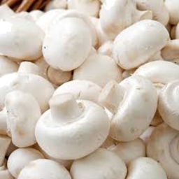 Photo of Mushroom Singles