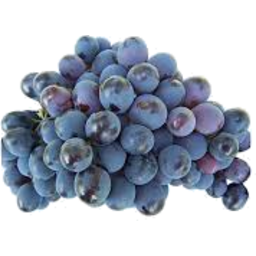 Photo of Grapes Black Muscatel (Seeds)