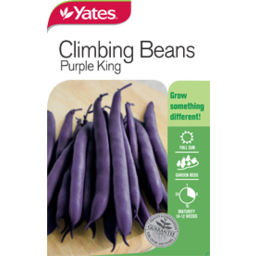 Photo of Yates Climbing Beans Purple King Seed Packet
