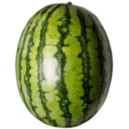 Photo of Watermelon Whole Seedless Kg