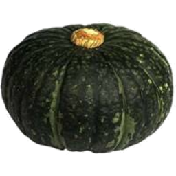 Photo of Buttercup Pumpkin