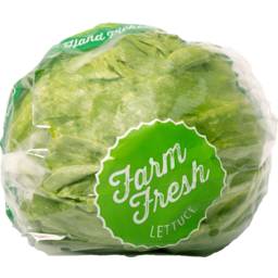 Photo of Lettuce Pre-Pack