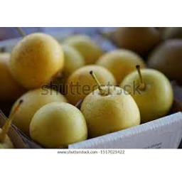 Photo of Box Pears Nashi