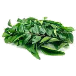 Photo of Curry Leaf 20g Pkt