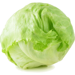 Photo of Lettuce Iceberg (Each).