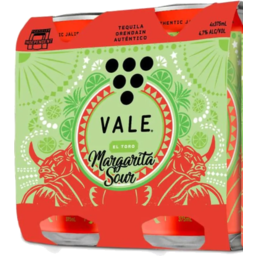 Photo of Vale Margarita Sour Can