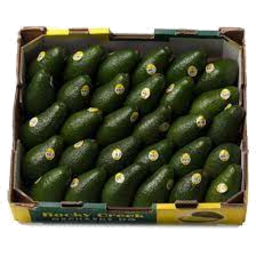 Photo of Avocado Premium Tray Size 20