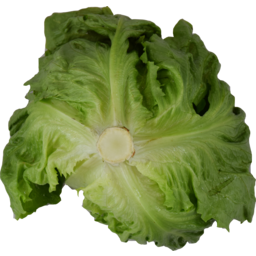 Photo of Lettuce Iceberg Organic