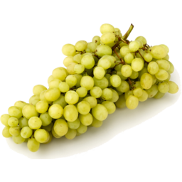 Photo of Grapes - Menindee