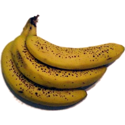 Photo of Bananas Over Ripe