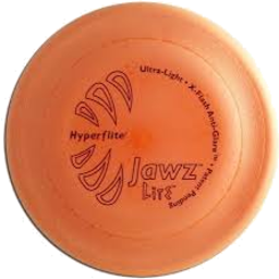 Photo of Frisbee
