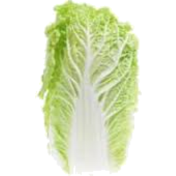 Photo of Cabbage Wombok