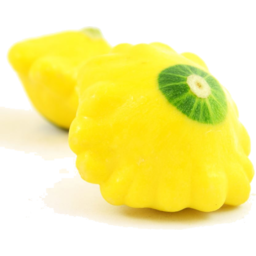 Photo of Squash Yellow Organic
