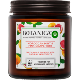 Photo of Botanica By Air Wick Wax Candle Moroccan Mint & Pink Grapefruit