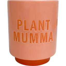Photo of Ceramic Planter - Plant Mumma