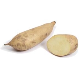 Photo of Potato Sweet White