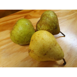 Photo of Pears Josephine