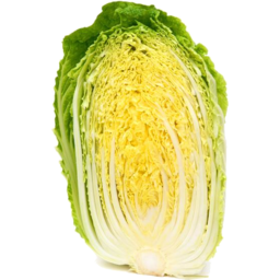 Photo of Cabbage - Wombok - Half