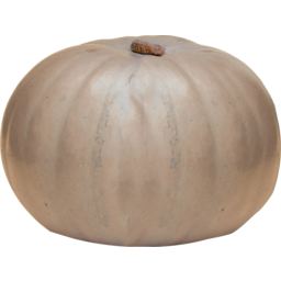 Photo of Organic Crown Pumpkin