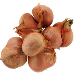 Photo of Shallot Onions