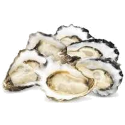 Photo of Nz Bluff Oysters