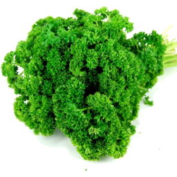 Photo of Parsley Curly Bunch