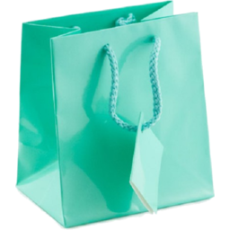 Photo of Gift Bag Medium Ea
