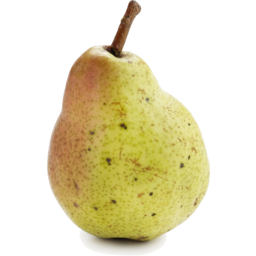Photo of Pears - William