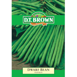 Photo of Dt Brown Dwarf Bean Snap Bean