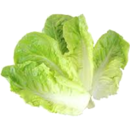 Photo of Lettuce Baby Cos Hearts Twin Pack