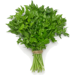 Photo of Herbs Parsley Continental Bunch
