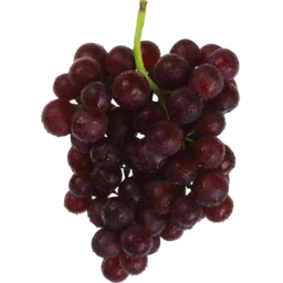 Photo of Grapes Black Muscat