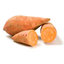Photo of Sweet Potato Red/Gold Rw