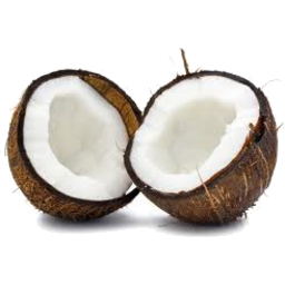 Photo of Coconut 