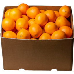 Photo of Bulk Oranges Valencia