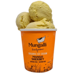Photo of Mungalli Ice Cream Mango Sherbet 475ml