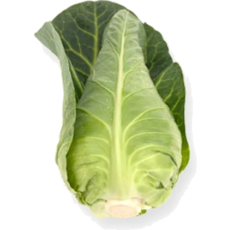 Photo of Baby Sugarloaf Cabbage Each