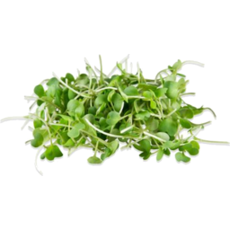 Photo of Organic Microgreens Wasabi Peas