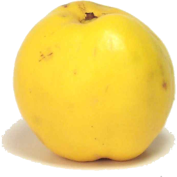 Photo of Quince Kg
