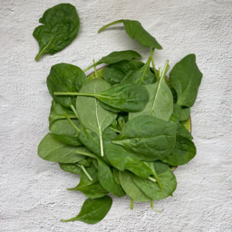 Photo of Baby Spinach