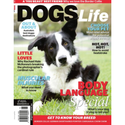 Photo of Dogs Life Magazine 