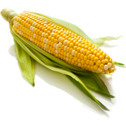 Photo of Corn Sweet Cob Loose